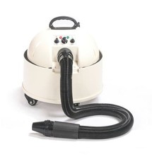 Pedigroom professional dog